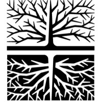 Collaborative Companies logo - Similar company to Blue Architects Ltd