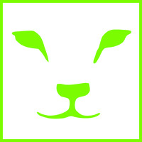 LION Finance logo - Similar company to Box 2