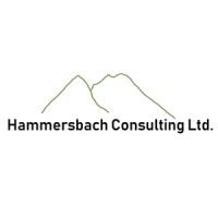 Hammersbach Consulting Ltd logo - Similar company to Hemmersbach