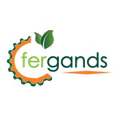 Fergands Holdings logo - Similar company to Smc+