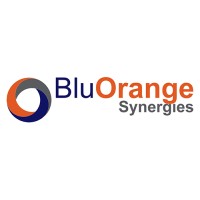 BluOrange Synergies logo - Similar company to Treaso Closet