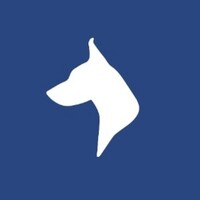 Watchdog.team logo - Similar company to Dossiers