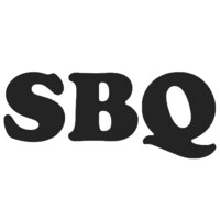 SBQTeam logo - Similar company to Techasians