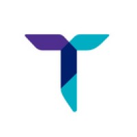 Technovia Info Solutions logo - Similar company to Cloudscircle