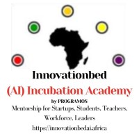 Innovationbed (AI) Incubation Academy - WSANigeria logo - Similar company to Taskpie
