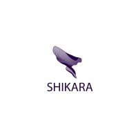 Shikara Electronic Company logo - Similar company to Express 24