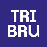 Triënnale Brugge logo - Similar company to Musea Brugge