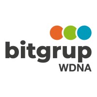BITGRUP logo - Similar company to Ideam - Estudi Creatiu