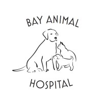 Bay Animal Hospital