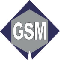 Transportes GSM logo - Similar company to Celeritytank Logistics (China) Ltd.