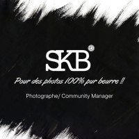Skeudenn Breizh logo - Similar company to Dastum