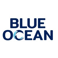 Blue Ocean Technology JSC logo - Similar company to Pinecraft Studio
