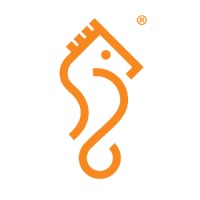 Seahorse Mobile Auto Care logo - Similar company to 8 Customs Auto Care