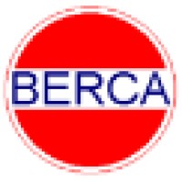 Berca Global Access