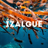 IZALGUE logo - Similar company to Ellidiss Technologies