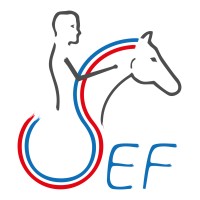 Le Simulateur Equestre Francais logo - Similar company to Equitazone