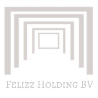 Felizz Holding BV logo - Similar company to Vicovida