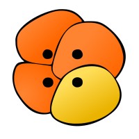 Gouvernance Cellulaire logo - Similar company to Co'Effy
