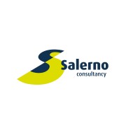 Salerno Consultancy logo - Similar company to Salerno Consulting Llc