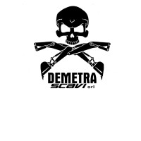 Demetra Scavi s.r.l. logo - Similar company to 2B Scavi S.R.L.