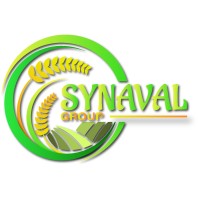 SYNAVAL GROUP logo - Similar company to Tali Logistics And Infrastructure