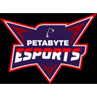 Petabyte Esports logo - Similar company to She'S Beyond