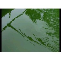 Environalgae logo - Similar company to Glaukos Algae