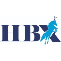 Hybralix logo - Similar company to Softswares Solutions