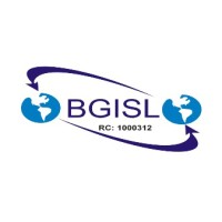 BESG GLOBAL INVESTMENTS AND SERVICES LIMITED - BGISL logo - Similar company to 4Runner Global Services