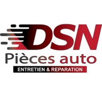 DSN pièces auto logo - Similar company to Mpm Express