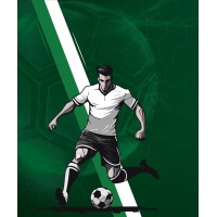 National Football Championship logo - Similar company to Leo Pro