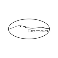 DAMSIA logo - Similar company to Trans International Logistics (Til)
