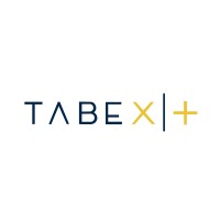 Tabex logo - Similar company to Fastegy