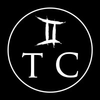 Gemini Trading Co. logo - Similar company to Gemini Imports Inc