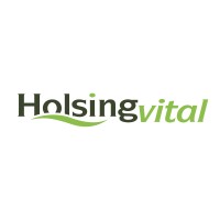 HolsingVital GmbH logo - Similar company to H. Fretthold Gmbh & Co. Kg
