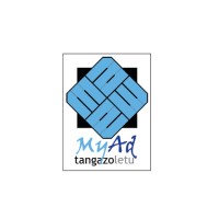 Tangazoletu Limited logo - Similar company to Swift Hailing Ltd