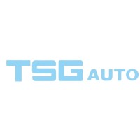 TSG AUTOMATION SDN BHD logo - Similar company to Gott Sdn Bhd