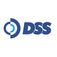 DSS Serviços de Tecnologia da Informação logo - Similar company to Grupo Data