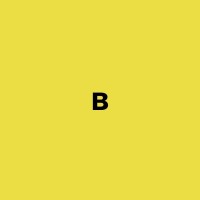 WE ARE BRAVAS logo - Similar company to Bihotz Studio ©