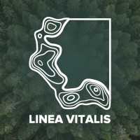 Linea Vitalis logo - Similar company to Ceramic Architectures
