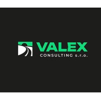 VALEX Consulting s.r.o. logo - Similar company to One By Allegro