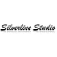 Silverline Studio logo - Similar company to Indianrootz Marketing Solutions