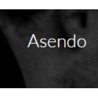 Asendo logo - Similar company to Asendo