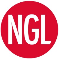 NGL Navigator Global Logistics S. de R.L. de C.V. logo - Similar company to Flytrix