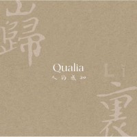 Qualia Studio logo - Similar company to Qualia Estudio