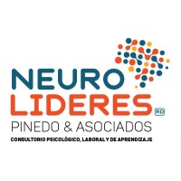 Neurolideres RD logo - Similar company to Solidity Developer & Contractors Group