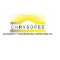 Chrysopee   (Consultancy Company)