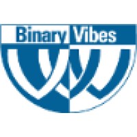 Binary Vibes Information Technologies Pvt. Ltd.
