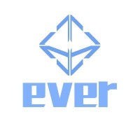 everVision logo - Similar company to Th8Ta