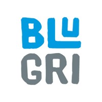 Blugri Software + Services Bvba